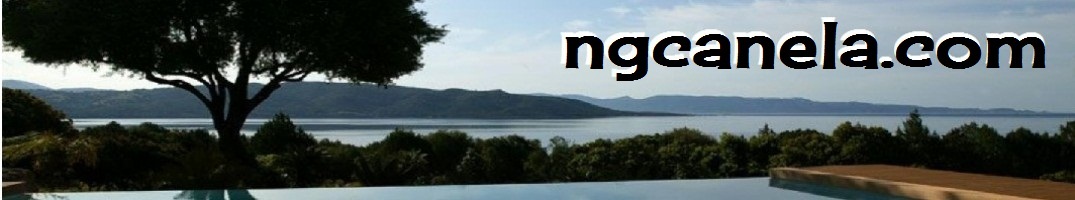 ngcanela.com